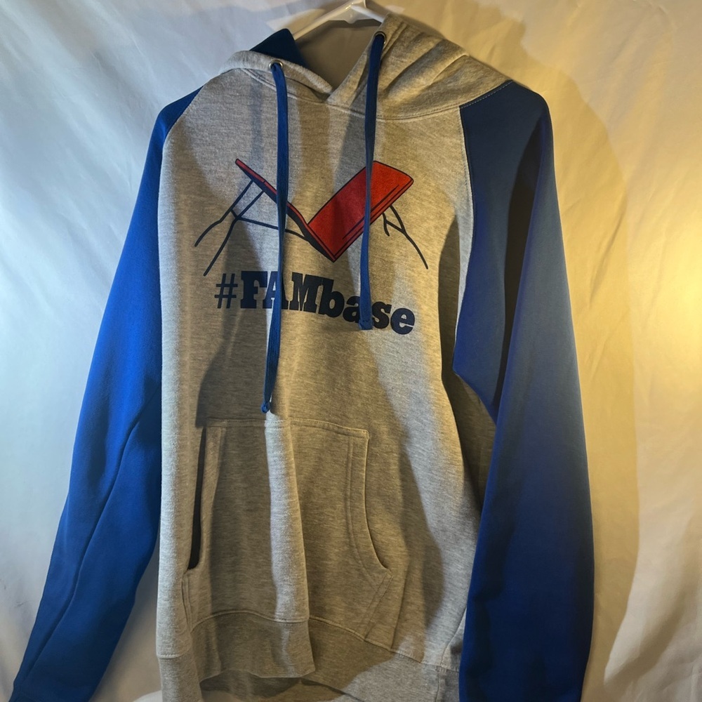 GAP Blue and Gray Graphic Hoodie